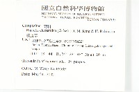 貓腥草藏品圖，第2張