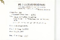 銀膠菊藏品圖，第2張