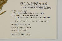 臭杏、土荊芥藏品圖，第2張