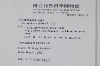 刺莧藏品圖，第2張