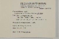 馬氏濱藜藏品圖，第2張