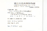 野茼蒿藏品圖，第2張