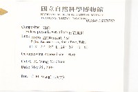 白花鬼針藏品圖，第2張