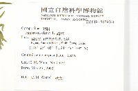 豬草藏品圖，第2張