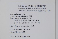 刺莧藏品圖，第2張