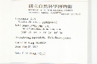 苦滇菜、苦菜藏品圖，第2張