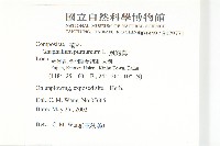 鼠麴舅藏品圖，第2張