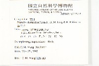 貓腥草藏品圖，第2張