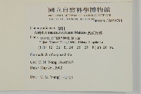 馬氏濱藜藏品圖，第2張