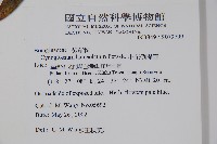 小花倒提壺藏品圖，第2張