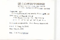 南國小薊藏品圖，第2張