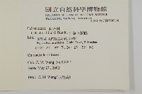 南華南蛇藤，青江藤藏品圖，第2張