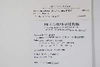 武靴藤藏品圖，第2張