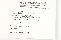 腺葉帚菊藏品圖，第2張