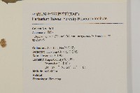 大頭艾納香藏品圖，第2張