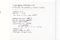 白花牽牛藏品圖，第2張