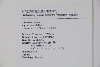 朱紅水木藏品圖，第2張