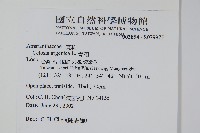 青葙藏品圖，第2張