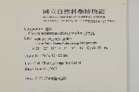 野茼蒿藏品圖，第2張