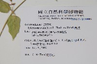 鷗蔓藏品圖，第2張