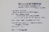 蘿芙木藏品圖，第2張