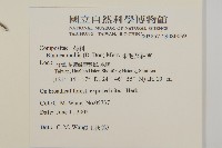 柔毛艾納香藏品圖，第2張