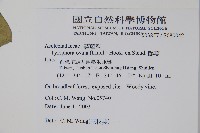 鷗蔓藏品圖，第2張