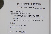 破布烏藏品圖，第2張