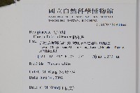 破布烏藏品圖，第2張