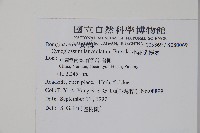 小花倒提壺藏品圖，第2張