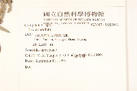 登錄號:S080071藏品圖，第2張