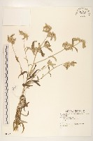 登錄號:S080072藏品圖，第1張