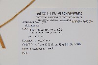 登錄號:S080086藏品圖，第2張
