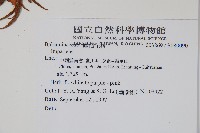 登錄號:S080090藏品圖，第2張