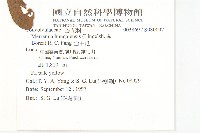 山土瓜藏品圖，第2張