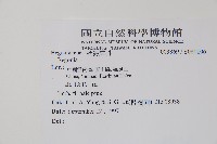 登錄號:S080106藏品圖，第2張