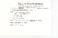 小棶木藏品圖，第2張