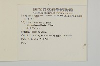 登錄號:S080141藏品圖，第2張