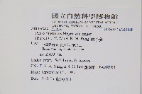 珠子參藏品圖，第2張