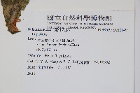 登錄號:S080149藏品圖，第2張