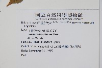 登錄號:S080150藏品圖，第2張