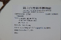 登錄號:S080155藏品圖，第2張