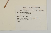 登錄號:S080163藏品圖，第2張