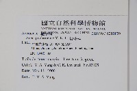 貴州槭藏品圖，第2張