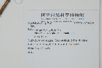 登錄號:S080190藏品圖，第2張