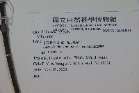 登錄號:S080196藏品圖，第2張