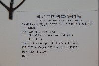 登錄號:S080197藏品圖，第2張