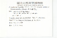 豌豆七藏品圖，第2張