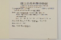 網脈繁縷藏品圖，第2張