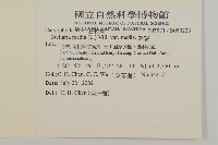 繁縷藏品圖，第2張